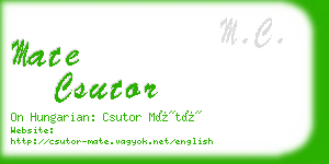 mate csutor business card